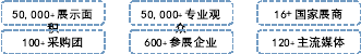 组合 10