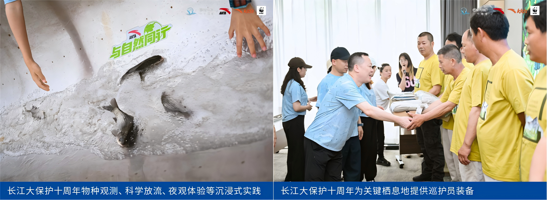 1793005832899724.png WPS拼图0.png